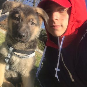 Meet your Posher, Joey